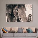 Elephant Up Close Wall Art