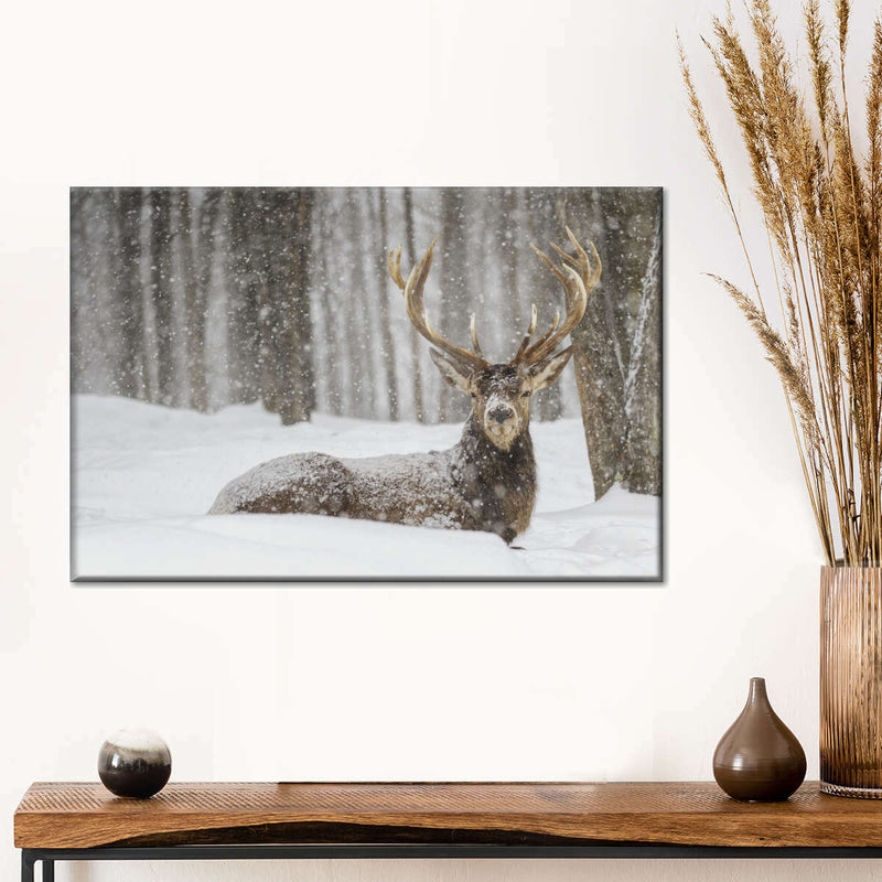 Snow Covered Elk Wall Art