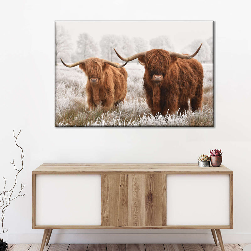 Hairy Scottish Highland Cows Wall Art