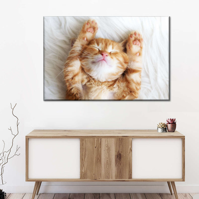 Sleepy Kitty Wall Art