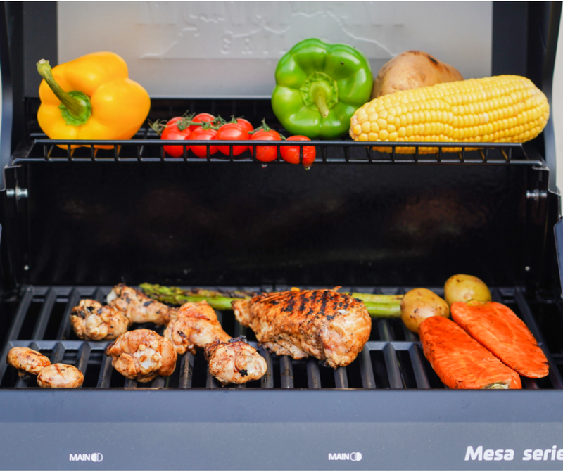 Mesa 200 | Matte Color Propane Gas Grill