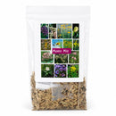 Mesic Nebraska Wildflower Seed Mix | 1.44 oz | Prairie Legacy Inc.