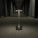 Metallic Cordless Table Lamp