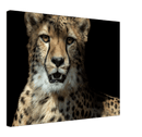 Leopard - Print