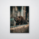 Bear in the Forest - Print