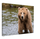 Bear in the Lake - Print