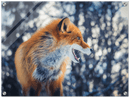Curious Fox - Print
