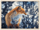 Curious Fox - Print