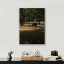 Deer in Sunlight - Print
