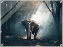 Elephant Print Metal Wall Art – Wildlife Safari Animal Nature Home Decor