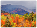 Fall Adirondack Mountains - Print