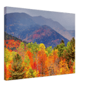Fall Adirondack Mountains - Print