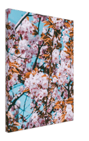 Floral - Print
