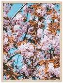 Floral - Print