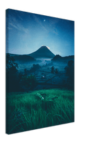 Grass Field Night - Print