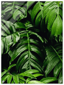 Green Leaves - Print