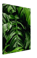 Green Leaves - Print