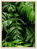 Green Leaves - Print