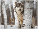 Grey Wolf Print Metal Wall Art – Wildlife Nature Rustic Cabin Home Decor