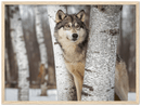 Grey Wolf Print Metal Wall Art – Wildlife Nature Rustic Cabin Home Decor