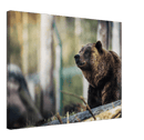 Happy Bear - Print