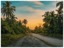 Hawaii Backroad - Print