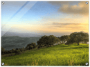 Hillside Trees - Print