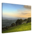 Hillside Trees - Print