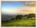 Hillside Trees - Print