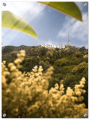 Hollywood - Print