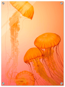 Jellyfish Alternative - Print