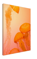 Jellyfish Alternative - Print