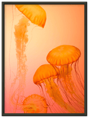 Jellyfish Alternative - Print