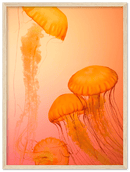 Jellyfish Alternative - Print