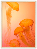 Jellyfish Alternative - Print