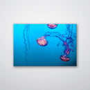Jellyfish Print Metal Wall Art – Ocean Marine Life Coastal Nature Decor