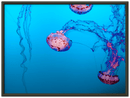 Jellyfish Print Metal Wall Art – Ocean Marine Life Coastal Nature Decor