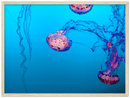 Jellyfish Print Metal Wall Art – Ocean Marine Life Coastal Nature Decor