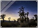 Joshua Tree Print Metal Wall Art – California Desert Southwest Scenic Decor