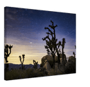 Joshua Tree Print Metal Wall Art – California Desert Southwest Scenic Decor