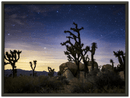 Joshua Tree Print Metal Wall Art – California Desert Southwest Scenic Decor