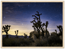 Joshua Tree Print Metal Wall Art – California Desert Southwest Scenic Decor