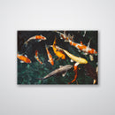 Koi Fish - Print