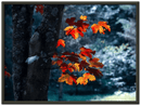 Maple Leaf - Print