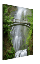 Multnomah Falls - Print
