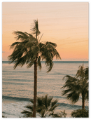 Ocean Palm Trees Print Metal Wall Art – Tropical Beach Coastal Home Decor