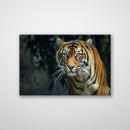 Prowling Tiger - Print