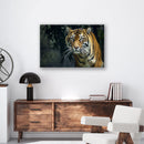 Prowling Tiger - Print