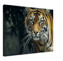 Prowling Tiger - Print