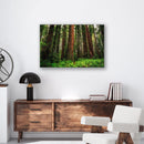 Redwood Ferns Print Metal Wall Art – California Forest Nature Scenic Wall Decor